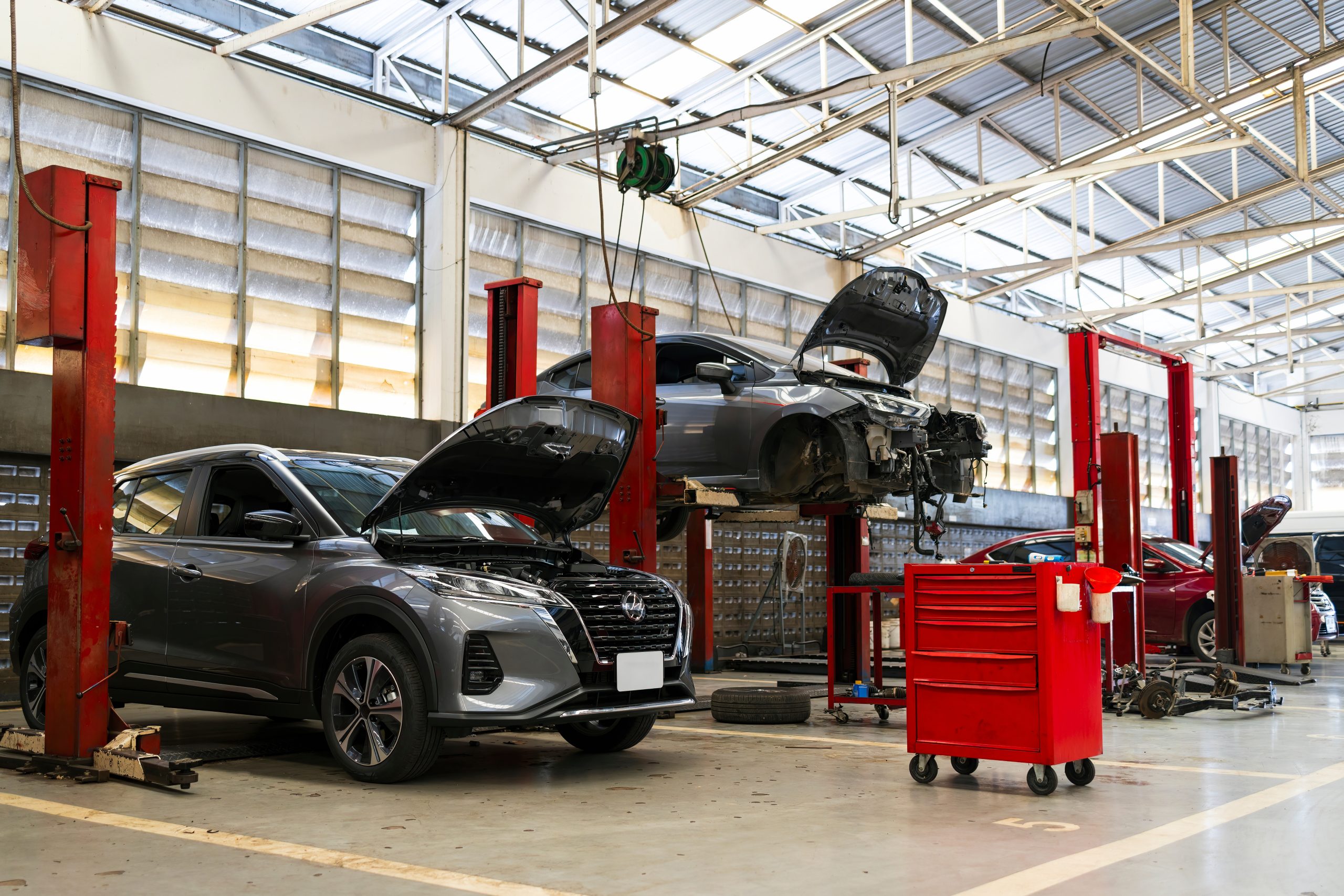 Expert Advocacy & Tailored Solutions